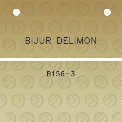 bijur-delimon-b156-3