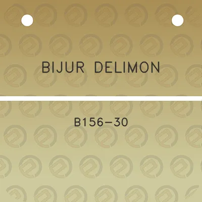 bijur-delimon-b156-30