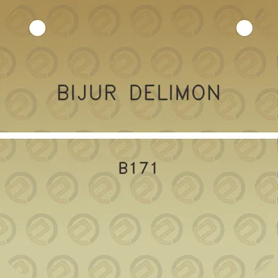 bijur-delimon-b171