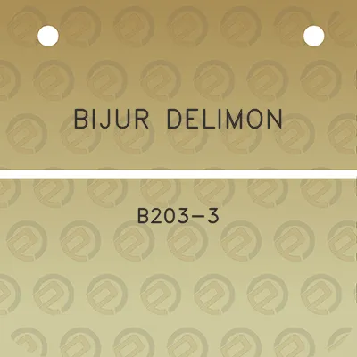 bijur-delimon-b203-3