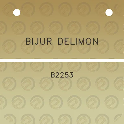 bijur-delimon-b2253