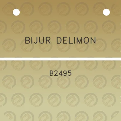 bijur-delimon-b2495