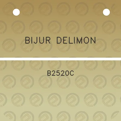 bijur-delimon-b2520c