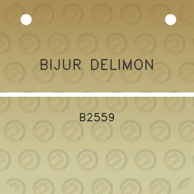 bijur-delimon-b2559