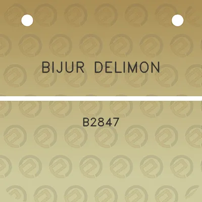 bijur-delimon-b2847