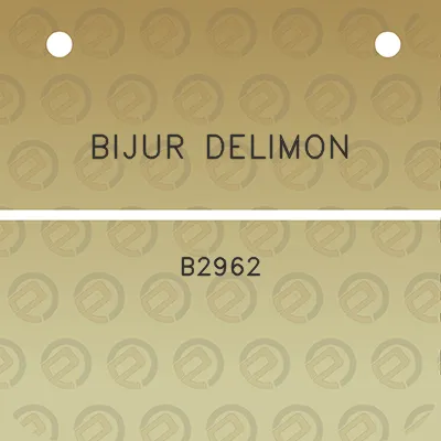 bijur-delimon-b2962