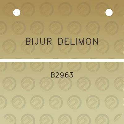 bijur-delimon-b2963