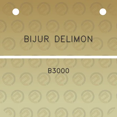 bijur-delimon-b3000