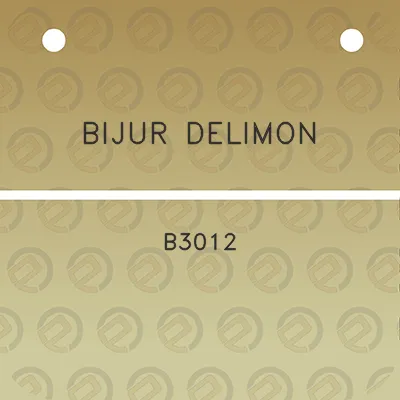 bijur-delimon-b3012