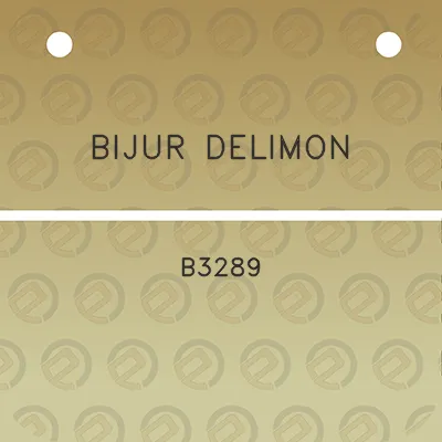 bijur-delimon-b3289