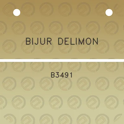 bijur-delimon-b3491