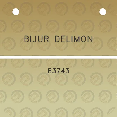 bijur-delimon-b3743