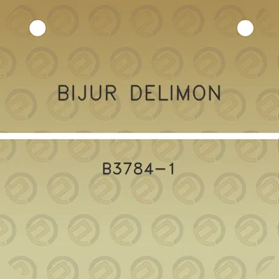 bijur-delimon-b3784-1