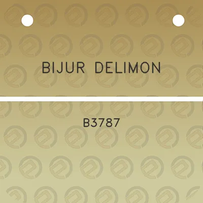 bijur-delimon-b3787