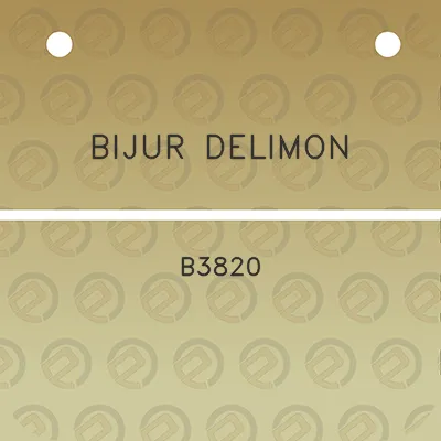 bijur-delimon-b3820