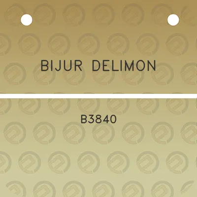 bijur-delimon-b3840