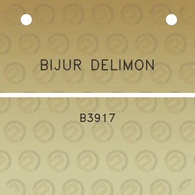 bijur-delimon-b3917