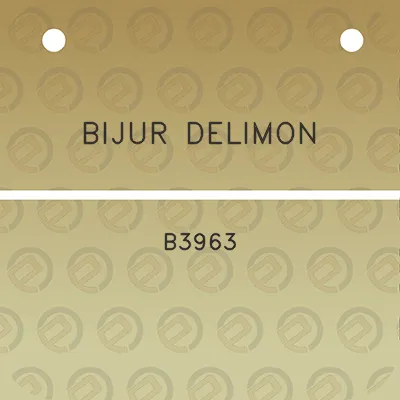 bijur-delimon-b3963