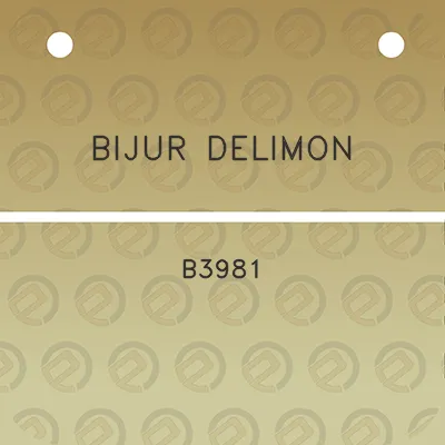 bijur-delimon-b3981