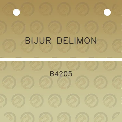 bijur-delimon-b4205