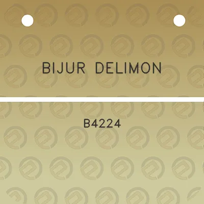 bijur-delimon-b4224