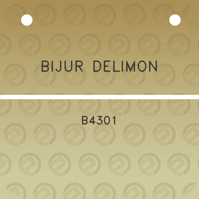 bijur-delimon-b4301