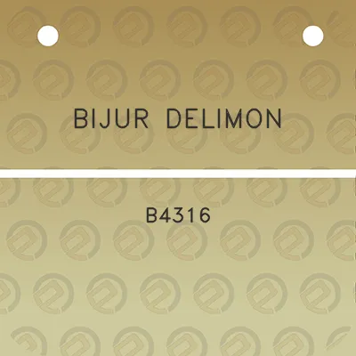 bijur-delimon-b4316