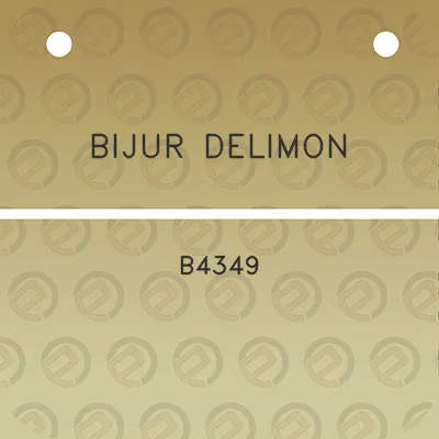 bijur-delimon-b4349