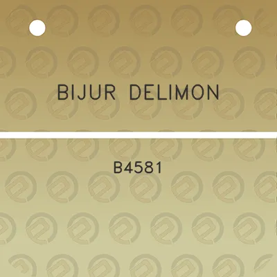 bijur-delimon-b4581