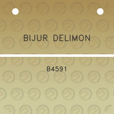 bijur-delimon-b4591