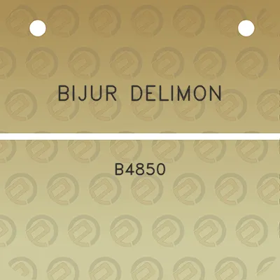 bijur-delimon-b4850