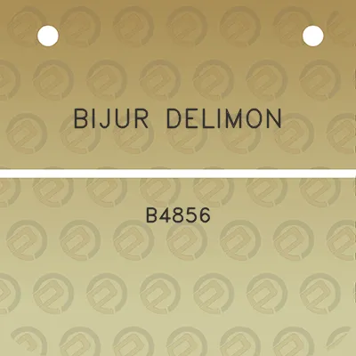 bijur-delimon-b4856