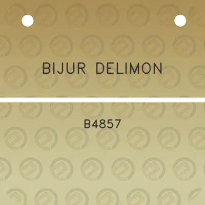 bijur-delimon-b4857