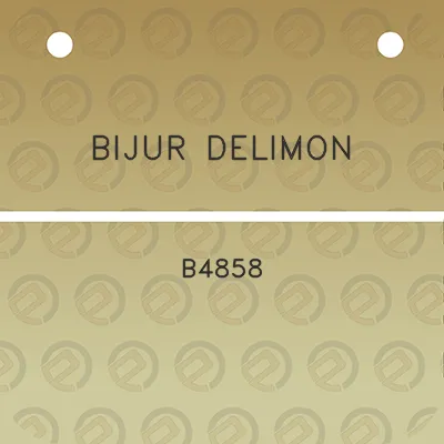 bijur-delimon-b4858