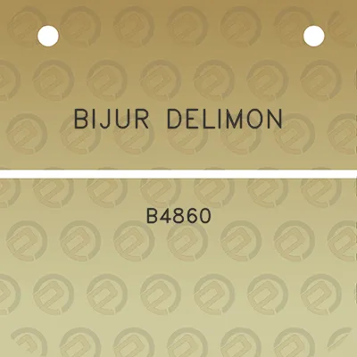 bijur-delimon-b4860