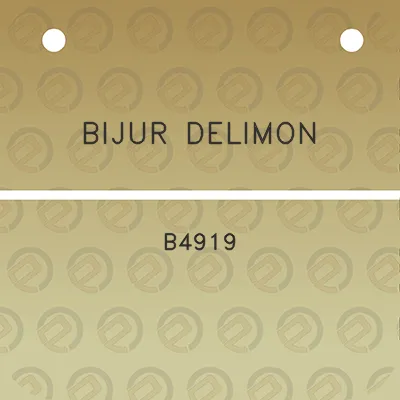 bijur-delimon-b4919