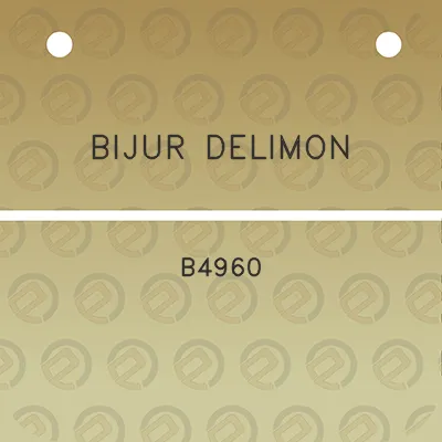 bijur-delimon-b4960