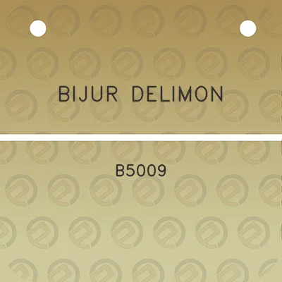 bijur-delimon-b5009