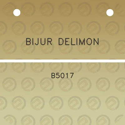 bijur-delimon-b5017