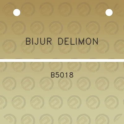 bijur-delimon-b5018