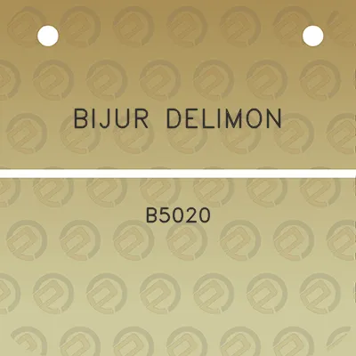 bijur-delimon-b5020