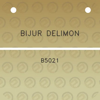 bijur-delimon-b5021