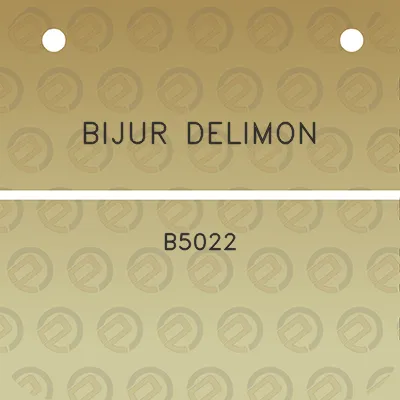 bijur-delimon-b5022