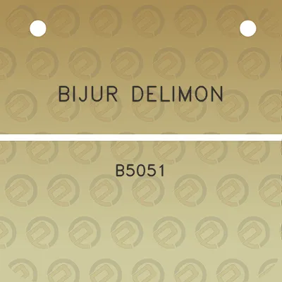 bijur-delimon-b5051