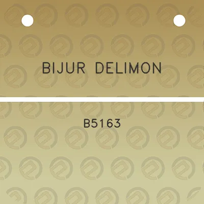 bijur-delimon-b5163