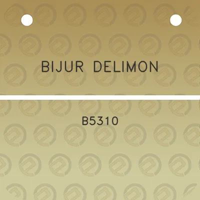 bijur-delimon-b5310