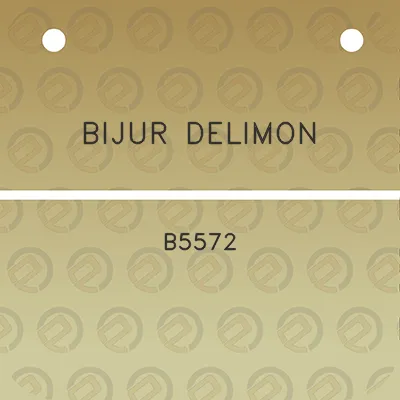 bijur-delimon-b5572