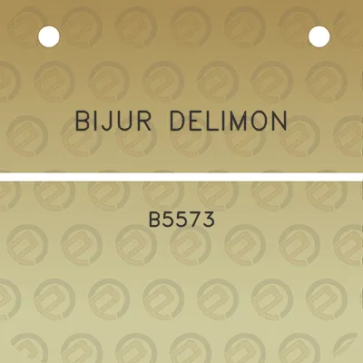 bijur-delimon-b5573