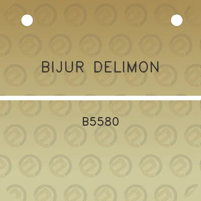 bijur-delimon-b5580