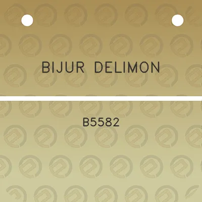 bijur-delimon-b5582